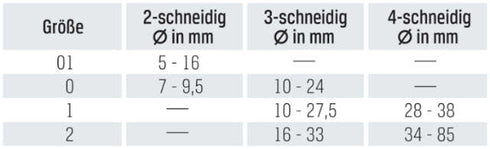 Zapfensenker-Kombisystem GFS, Flachsenker HSS