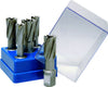 Kernbohrer BDS, Satz, HM, Schnitttiefe 30 mm, 5-tlg.,  für Magnetkernbohrmaschinen