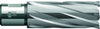 Kernbohrer BDS, HM, Schnitttiefe 55 mm, für Magnetkernbohrmaschinen