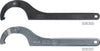 Adjustable hook spanner, with nose