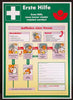 Hinweisschild NEUTRAL,  Kunstst. B400xH560 mm Anleitung Erste Hilfe SafetyMarking