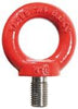 Ringschraube NEUTRAL,  fix TK 4000kg, DxL M16x27