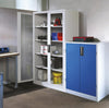 Schrank CP,  mit Sichtfenster 8521-055 / 7035 / 5012