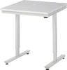 Arbeitstisch RAU,  Serie adlatus 150 B750 x T1000 x H720-1020